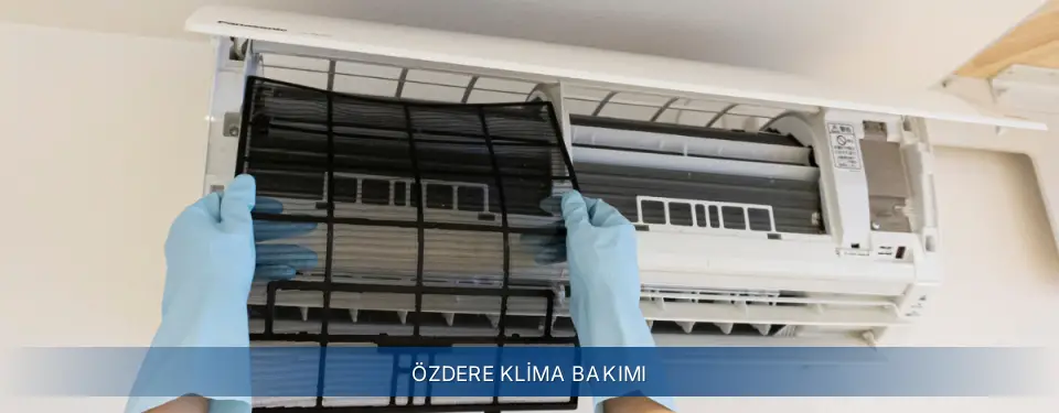 Özdere İlçemi Electrolux Klima Bakımı
