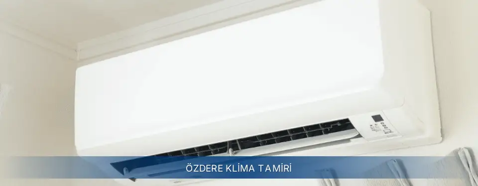 Özdere İlçemi Electrolux Klima Tamiri